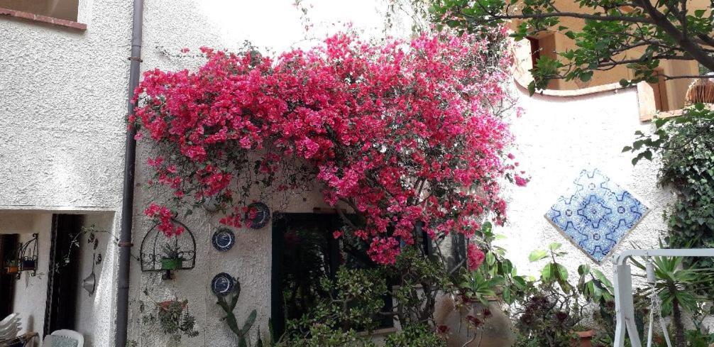 Holiday Home Cala Bianca Castellammare del Golfo Buitenkant foto